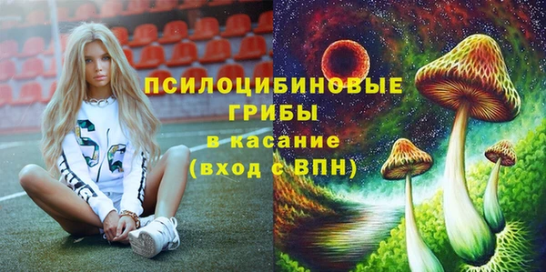 молекула духа Алзамай