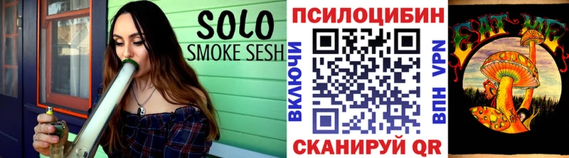 Купить где  Сухиничи  Псилоцибиновые грибы Psilocybe 